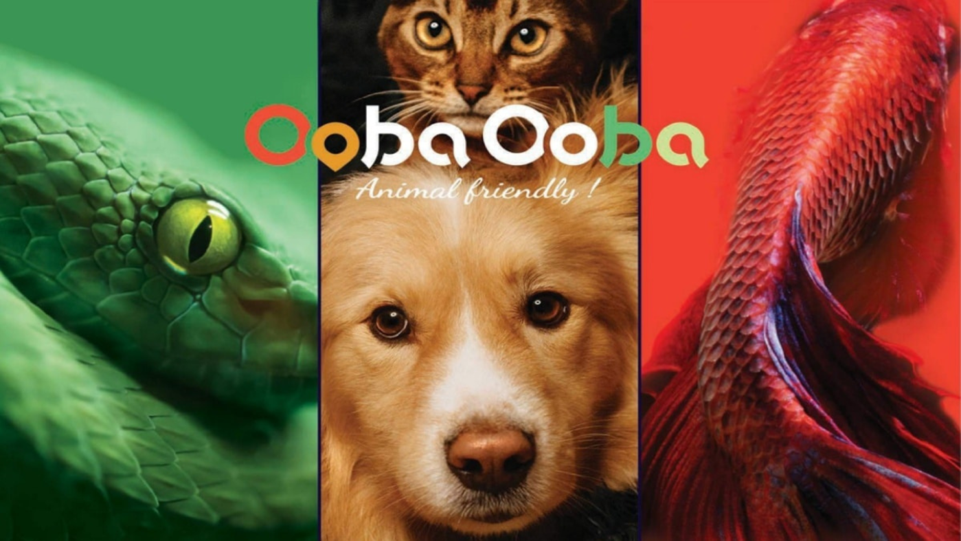 Provence Angels et Grand Delta Angels accompagnent OOBA OOBA Business